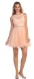 Lace Bodice Jewel Waist Short Tulle Homecoming Party Dress in Peach